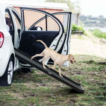 Pet ramp, foldable, Black, 160 × 37.5 × 8.5 cm
