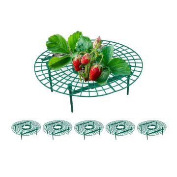 Braškių rėmų rinkinys Relaxdays, 6 vnt, Žalia, 10 × 30 cm