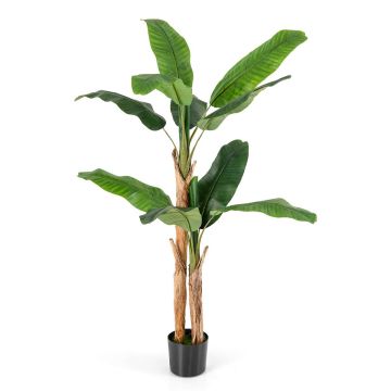 Dirbtinė banana palmė, su vazonu