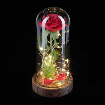 Dirbtinė rožė Relaxdays, Su LED girlianda, Raudona, Ø 11 × 22 cm