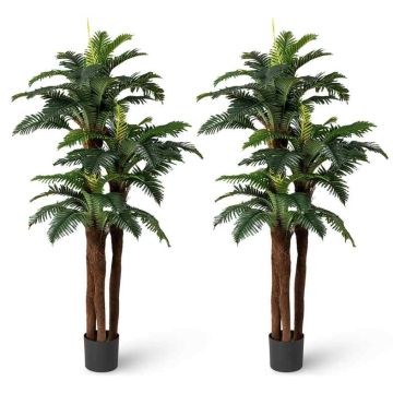 Dirbtinės palmės, 2 vnt, 19,5 × 17,5 × 191 cm