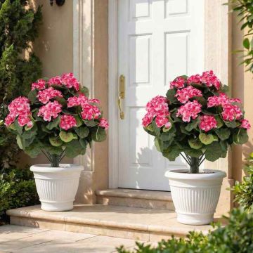 Dirbtinių pelargonijų rinkinys, 2 vnt, Rožinė, Ø 57 × 33 cm