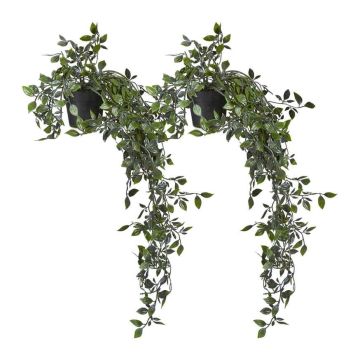 Dirbtinių pothos augalų rinkinys Relaxdays 10045556.0, 2 vnt, 60 × 20 cm
