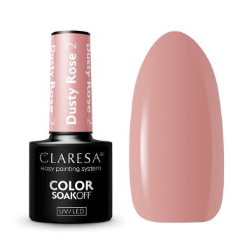 Hybrid nail polish CLARESA Dusty Rose 2