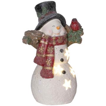 Christmas decoration, snowman with bird, 4 LED, Multicolored, 25 × 15.5 × 38 cm