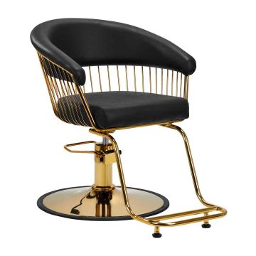 Парикмахерское кресло Hair System Lille