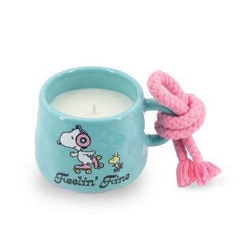 Kvapioji žvakė Peanuts