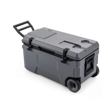 Nešiojamas aušintuvas, 50 l, Pilkas, 29,5 × 16 × 16 col