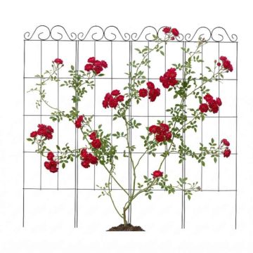 Rožių grotelės Relaxdays 10053007.0, 4 vnt, 30 × 116 × 0,5 cm