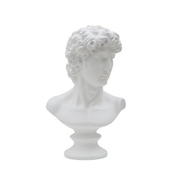Statulėlė Mauro Ferretti 0116080000, Vyro galva, 21,5 × 34 × 14,5 cm