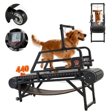 Dog treadmill VEVOR SSKL-2, 190 × 145 × 56 cm