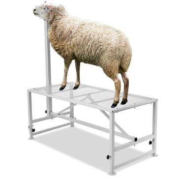 Gyvulių melžimo ir kirpimo stovas, metalinis, reguliuojamas, baltas, 47x23 colių