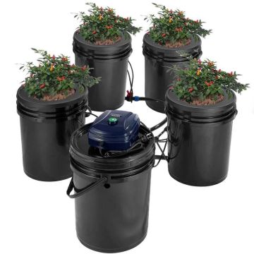 RDWC recirkuliacinė hidroponikos sistema, 4 kibirai po 18,9 L