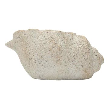 Vaza Shell Sand B, 35 × 18 × 23 cm