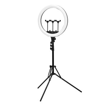 Ring lamp GLOW, Black, Ø 45 × 40–210 cm