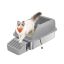 Feandrea Open Cat Litter Box, High Sides, Grey, 62 × 42 × 30 cm
