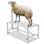 Gyvulių melžimo ir kirpimo stovas, metalinis, reguliuojamas, baltas, 47x23 colių