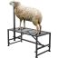 Gyvulių melžimo ir kirpimo metalinis stovas, reguliuojamas 47x23 colių, juodas