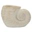 Vaza Shell Sand A, 33 × 23 × 19 cm