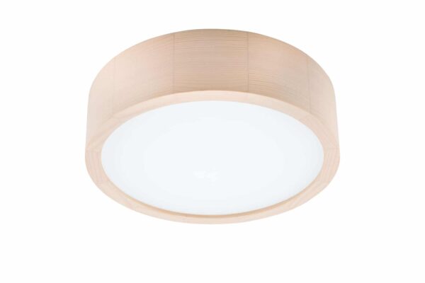 Apvalios formos pakabinamas šviestuvas LED, baltas