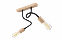 Šiuolaikinis "Flexi" pakabinamas šviestuvas Cameron