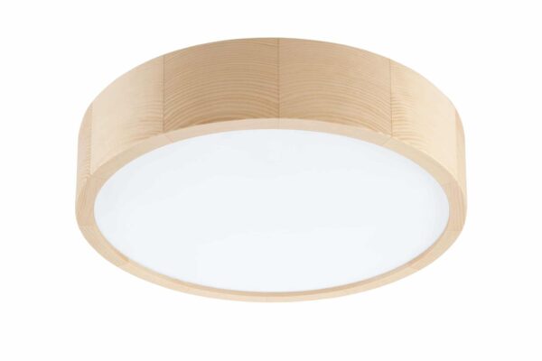 Apvalios formos pakabinamas šviestuvas LED, naturalios spalvos