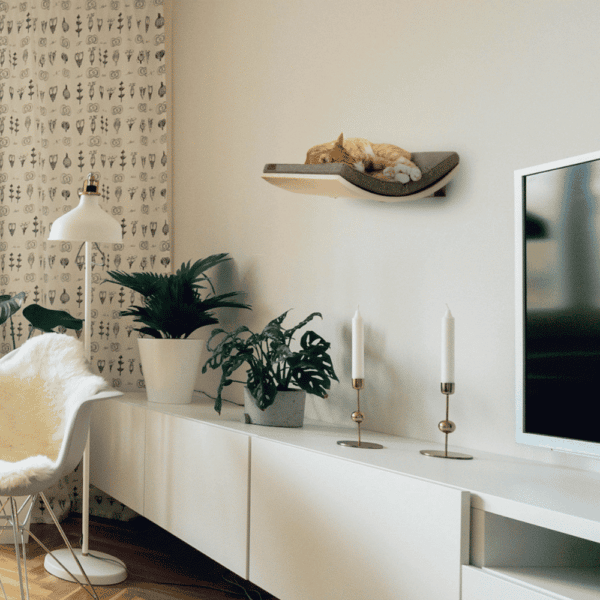 CHILL_CAT_SHELF_ELEGANT_ROSE_GREY_LIFESTYLE