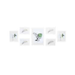 Nuotraukų rėmelių rinkinys 7 vnt., baltos spalvos