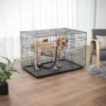 Hundekaefig-mit-2-Tueren-PPD48BK-3.jpg