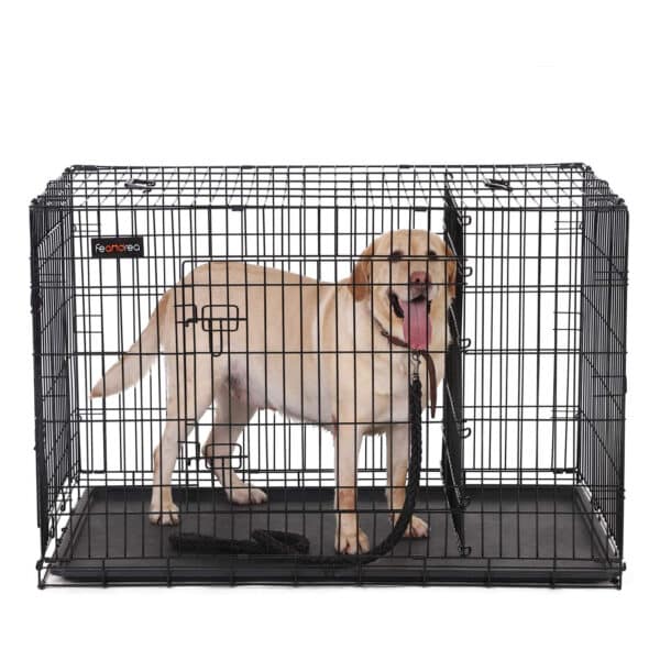Hundekaefig-mit-2-Tueren-PPD48BK-4.jpg