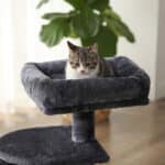 Kleiner-Kratzbaum-PCT59G-6.jpg