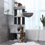 Kratzbaum-dicke-Staemme-141-cm-Grau-PCT02W-7.jpg