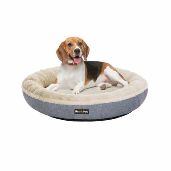 Gyvūno guolis Feandrea, pilkos spalvos