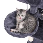Side-Basket-Cat-Tree-PCT51G-5.jpg