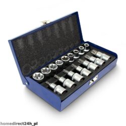 Torx lizdų, antgalių ir šešiakampių rinkinys, 16 dalių