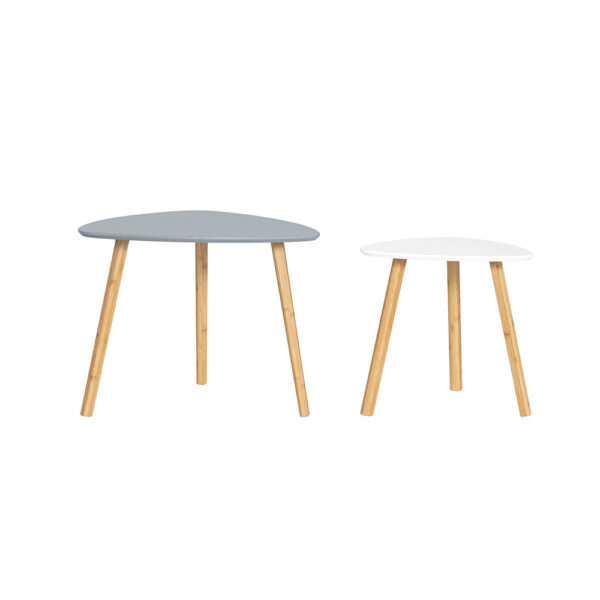 Rinkinys iš 2 kavos staliukų, įvairių spalvų FBT74-HG