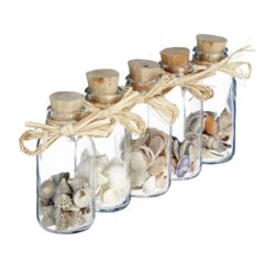 Rinkinys iš 5 dekorativinių indelių su kriauklėmis, kreminės spalvos