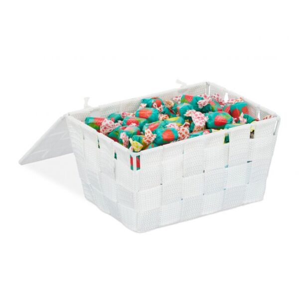 Daiktų laikymo dėžė su dangteliu 10,5x19,5x14,5cm., baltos spalvos