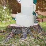 Tree stump on the lawn in the garden