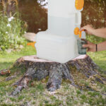 Tree stump on the lawn in the garden