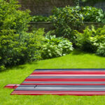 Detail of a botanical garden.