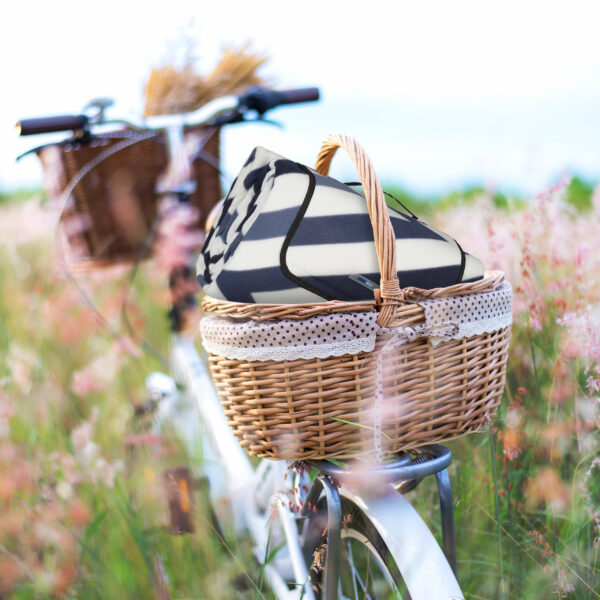 Bicycle retro with basket picnic and guitar of flowers in meadow