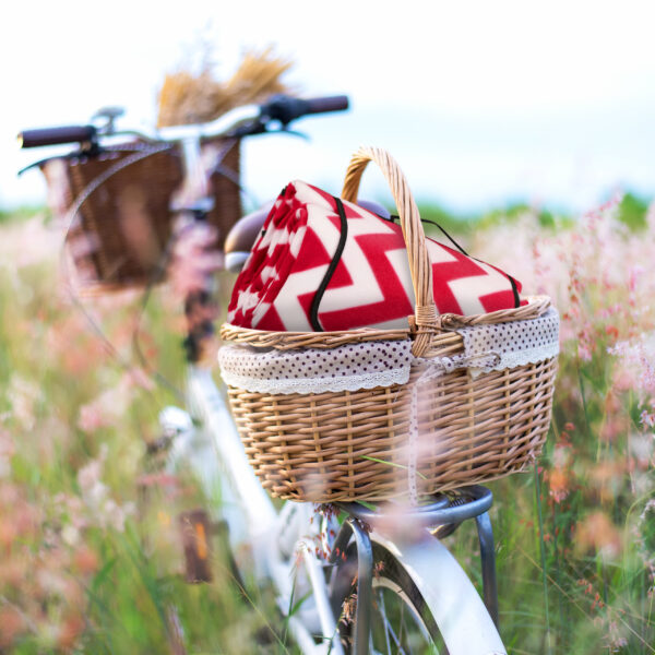 Bicycle retro with basket picnic and guitar of flowers in meadow