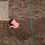 Woman working on home garden