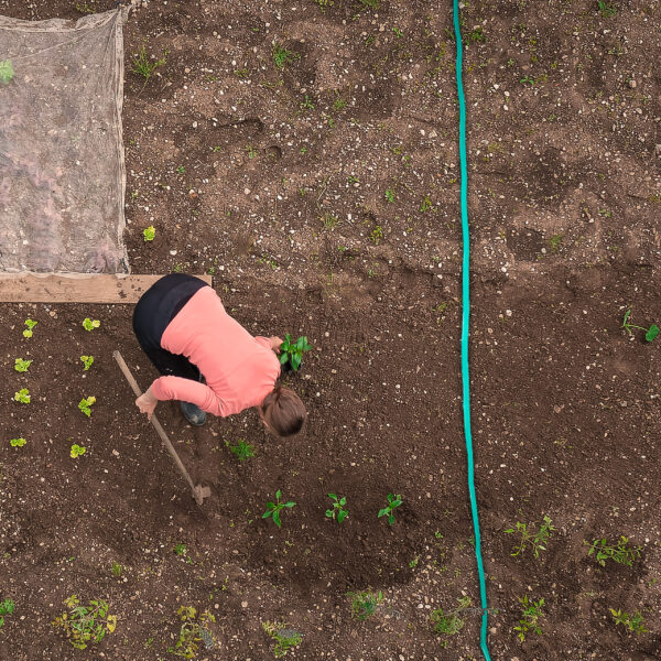 Woman working on home garden