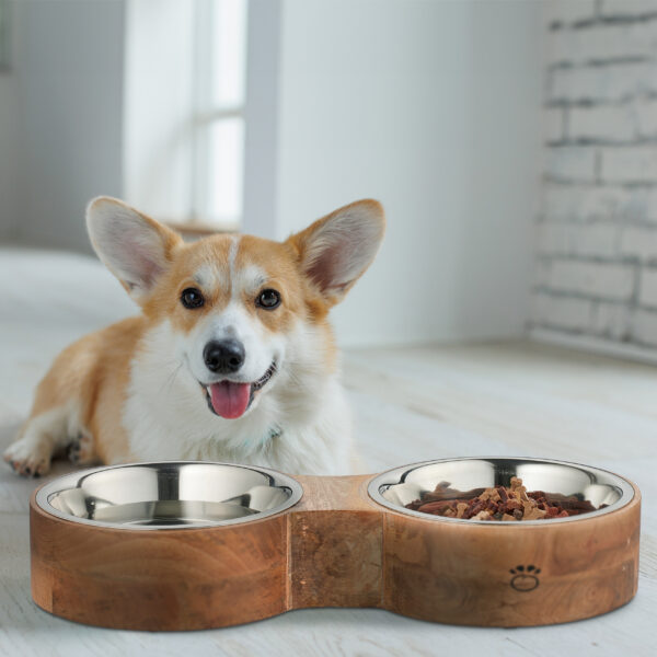 Dog food. Food for animals. Beautiful corgi eats food.