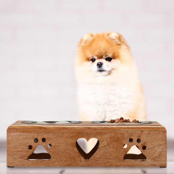 Pomeranian dog with dry food in bowls on the floor