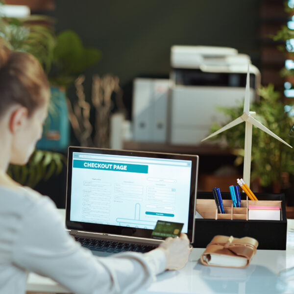 Seen from behind modern business woman browsing online shop