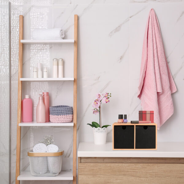 Modern bathroom interior with decorative ladder and shower stall