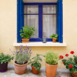 Provencal street with typical houses in southern France, Provenc